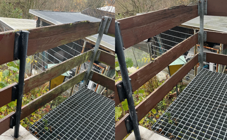 Zaun schimmelreinigung